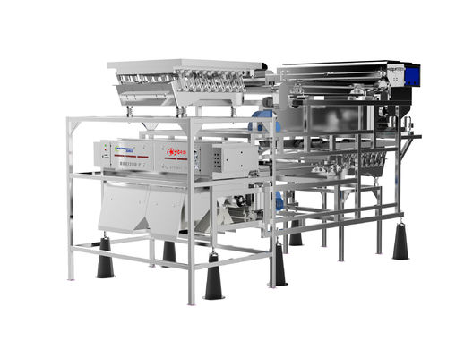 품질  Customized Fruit Sorting Machine Belt Type 1.0-1.5T/H Blueberry Color Sorter 공장