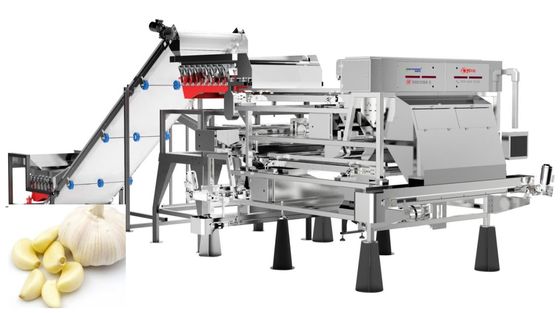 품질  Precise Removal Garlic Color Sorter Processing Equipment Belt Type 1.0-1.5 t/h 공장